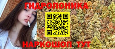 ПСИЛОЦИБИНОВЫЕ ГРИБЫ Можга